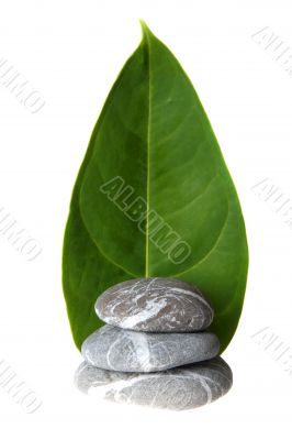Stones and leaf