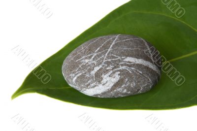 Stone and leaf