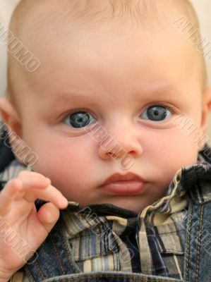 Baby boy