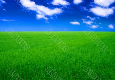 green field