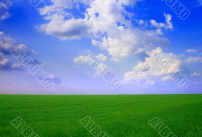 field  landscape