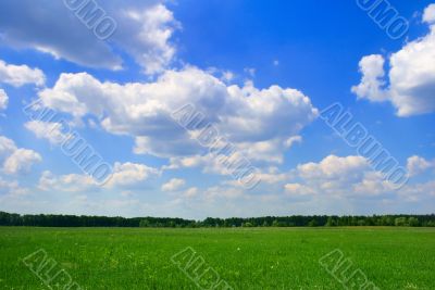 rural landscape