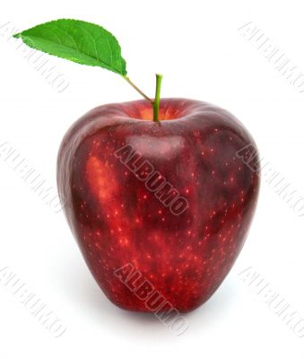 apple with leaf