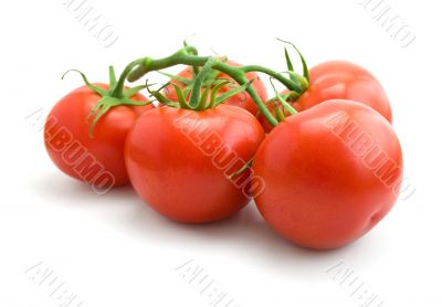 five tomatoes