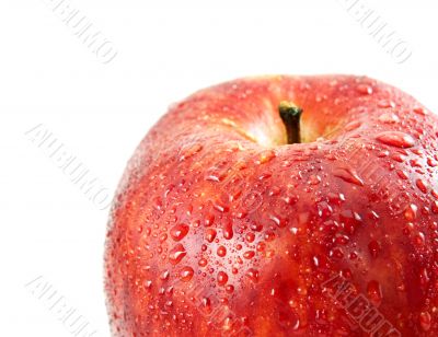 dewed apple