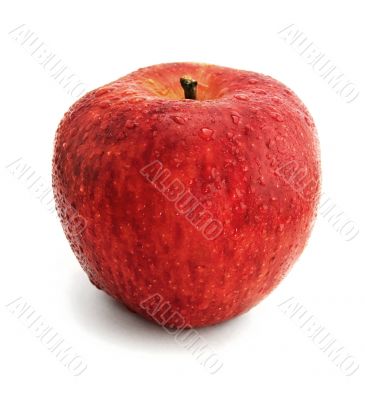 red apple