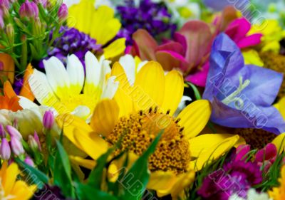 bouquet