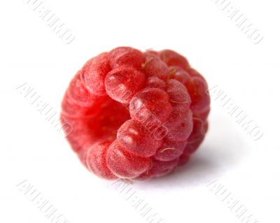 raspberry
