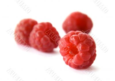 raspberry