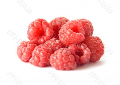 raspberry