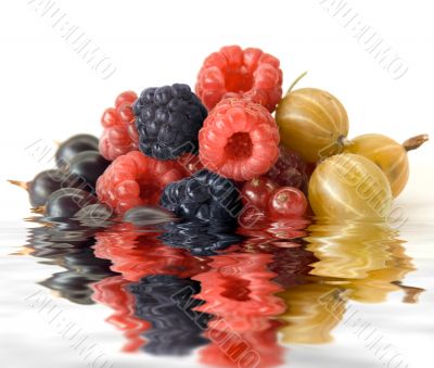 colorful berries