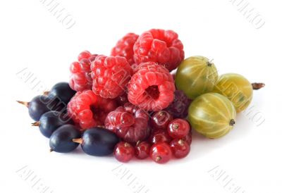 berries