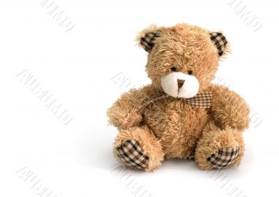 toy
