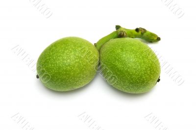 two walnuts