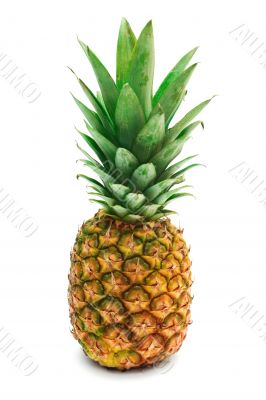 pineapple