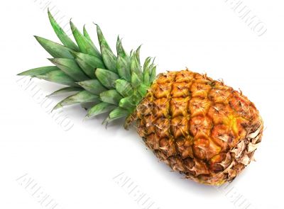 fresh pineapple