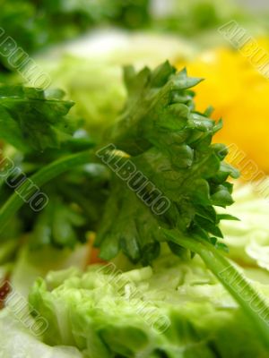 Dietic salad