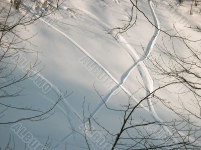 winter`s picture