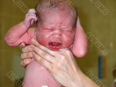 baby in hands