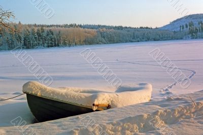 waiting for spring