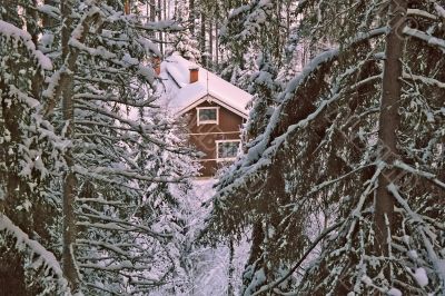 forest house