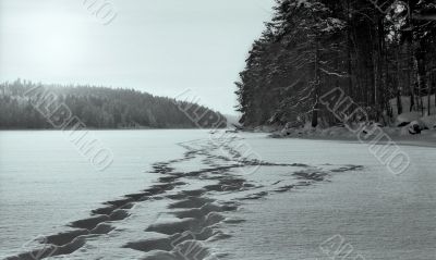 steps on snow