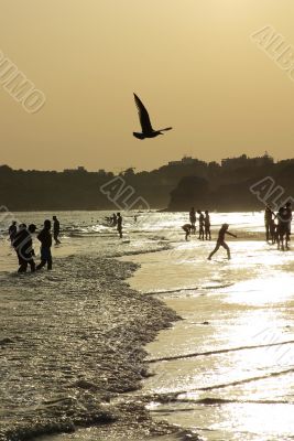 Silhouettes on the beach