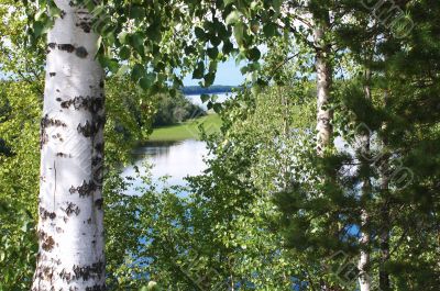 The Karelian landscape