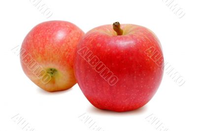 Apple Duo