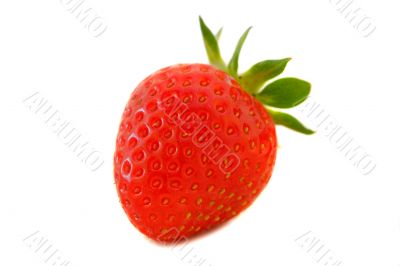 Organic Strawberry