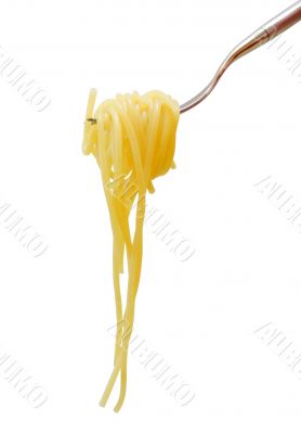 Pasta on fork