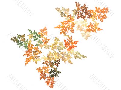 Fall Colors