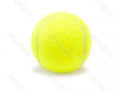 Tennis Ball