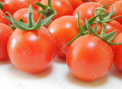 Fresh Tomatoes