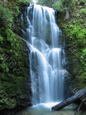 Berry Creek Falls