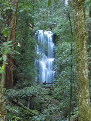 Berry Creek Falls