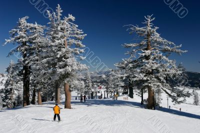 Ski resort with fresh snow