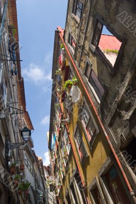 narrow street with flowers