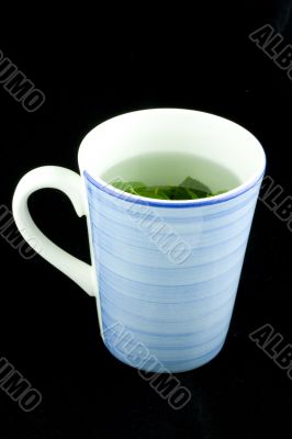 Mint infuse