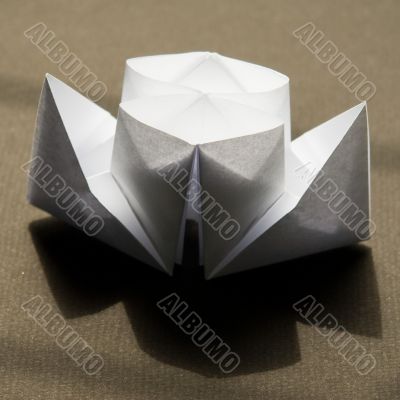 Paper steamship