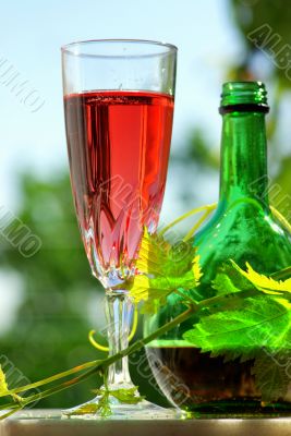 wine rosé of Portugal