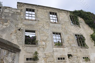 wall