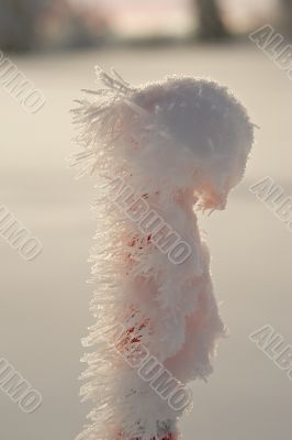acicular crystals