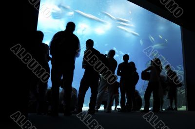 people looking at big aquarium