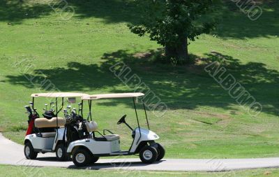 Carts in Play