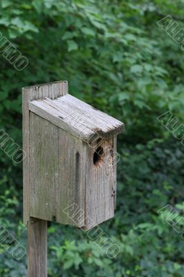 Old Bird House