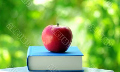 apple on a book