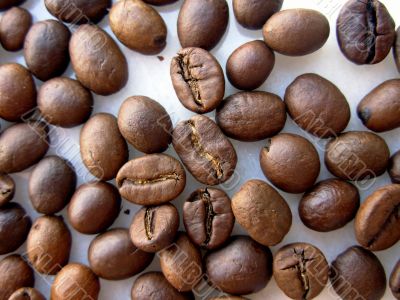 grains of coffee.