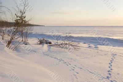 frozen sea