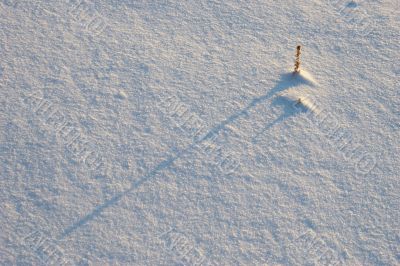 snow